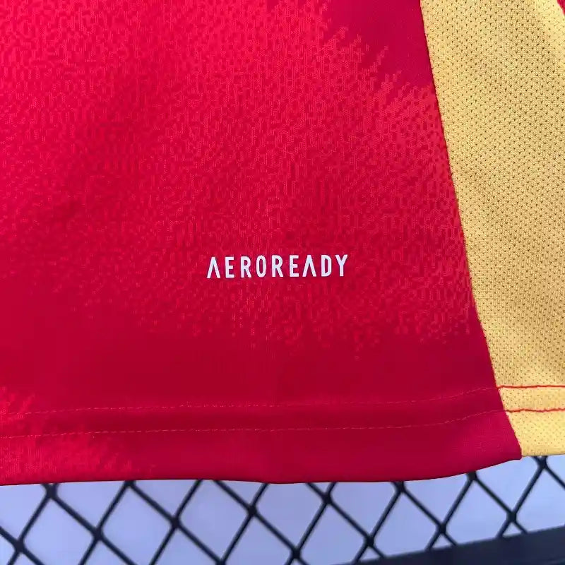Camiseta España 2024