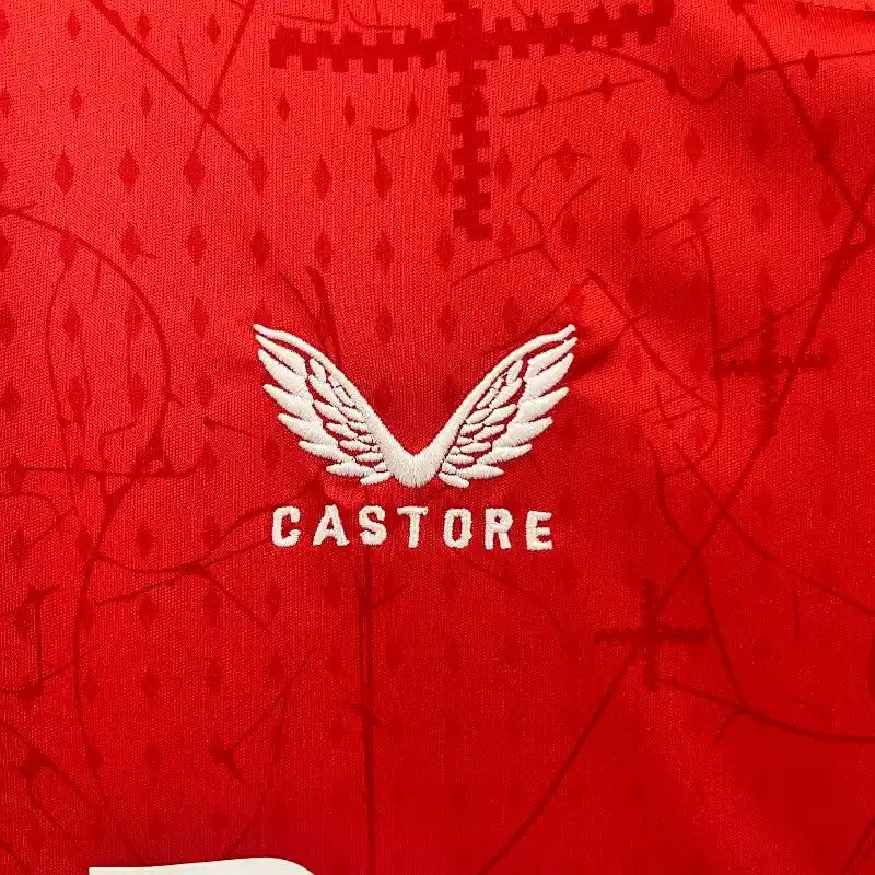 Camiseta Clásica Bayer Leverkusen 2024-25