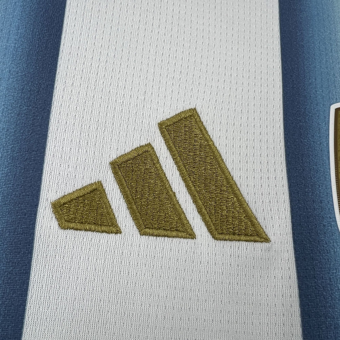 Camiseta Argentina 2025-26 World Cup