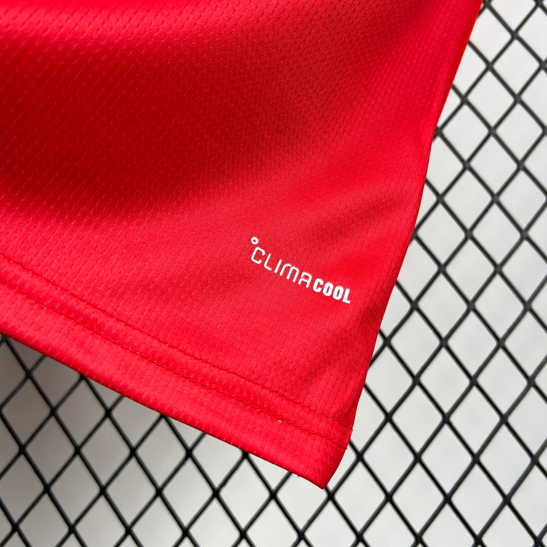 Camiseta Gales 2025-26 World Cup