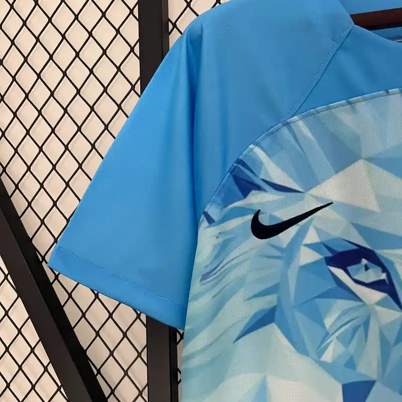 Camiseta Clásica Países Bajos Edición Especial 2024