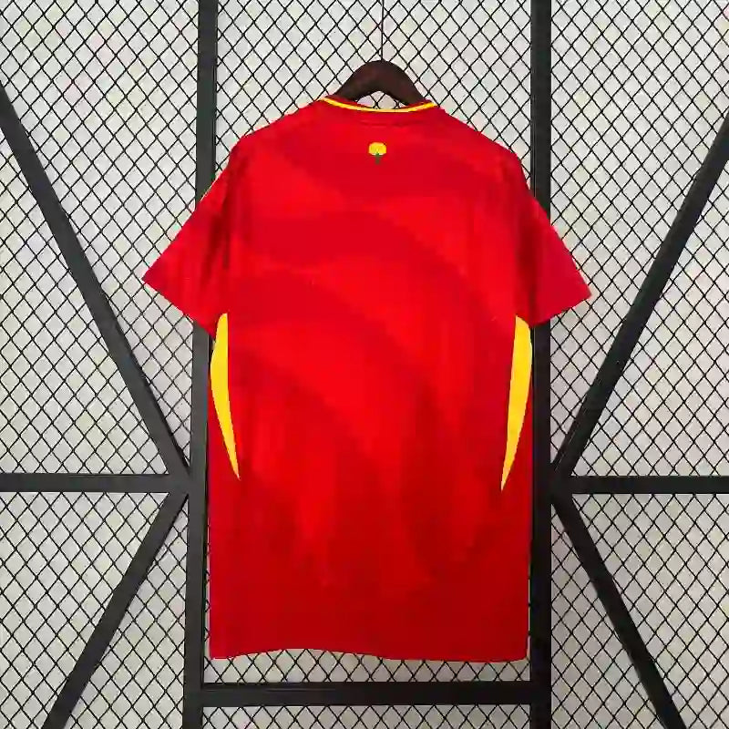 Camiseta España 2024