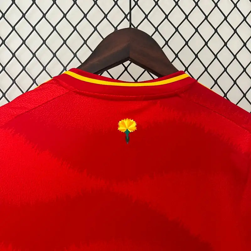 Camiseta España 2024
