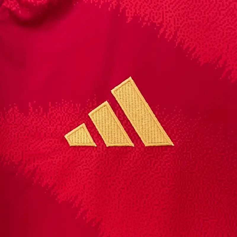 Camiseta España 2024