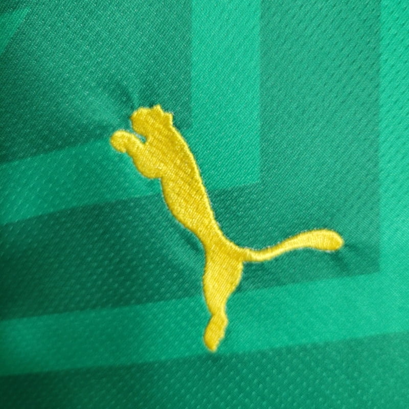Camiseta Clásica Manchester City FC Portero Verde 2023-24