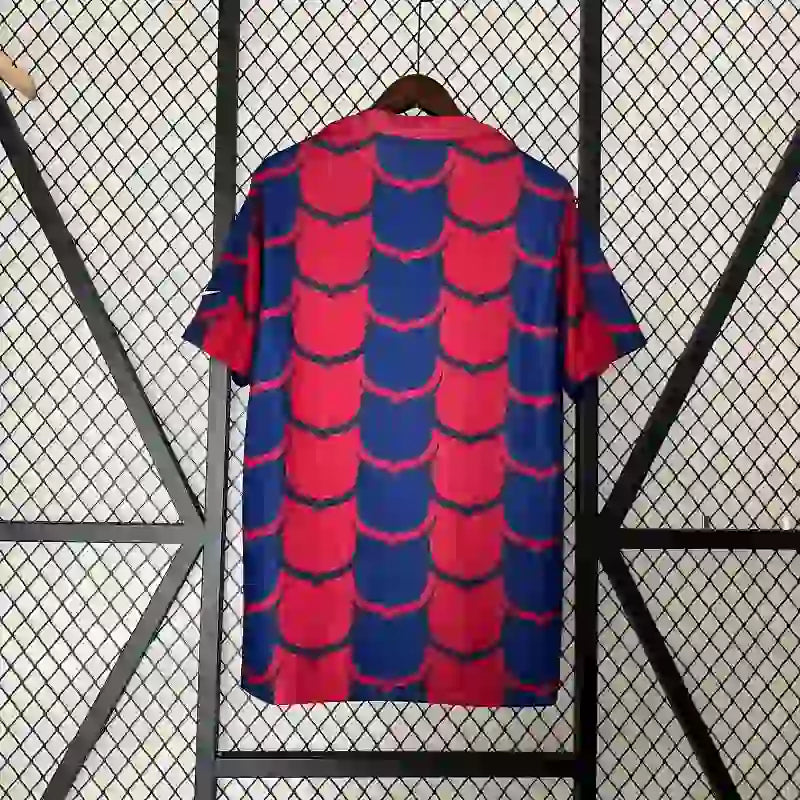 Camiseta Clásica FC Barcelona pre-match 2024-25