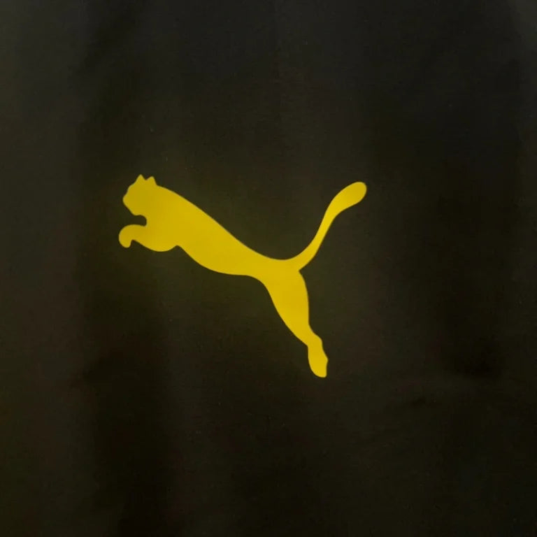 Chubasquero Borussia Dortmund 2024-25