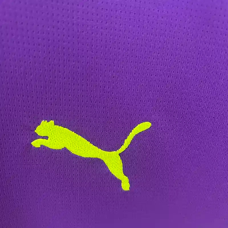Camiseta Borussia Dortmund Portero Edición Especial Morada 2025-26