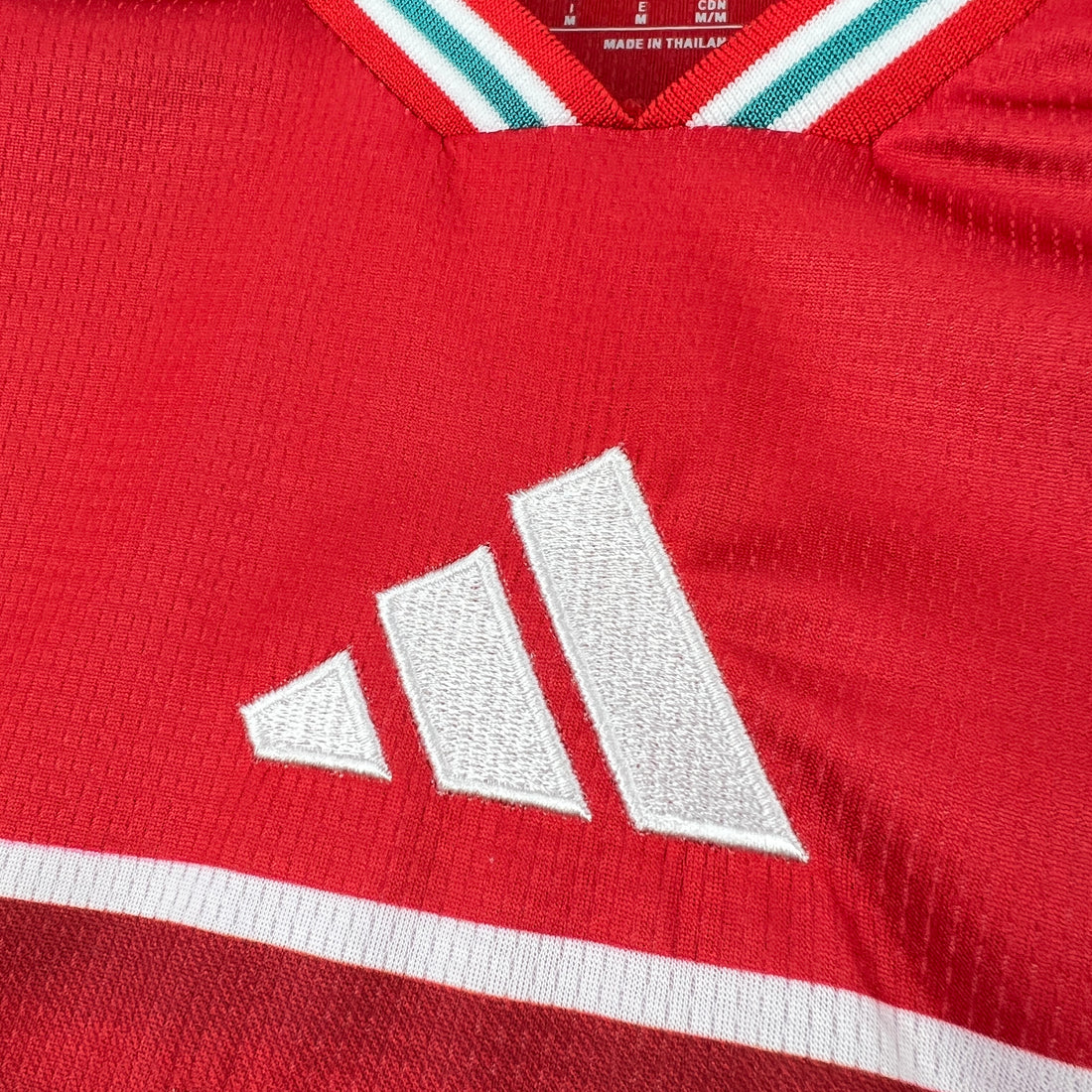 Camiseta Gales 2025-26 World Cup