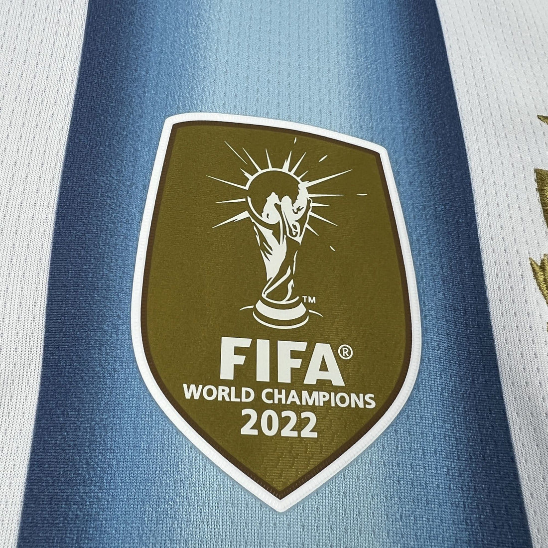 Camiseta Argentina 2025-26 World Cup