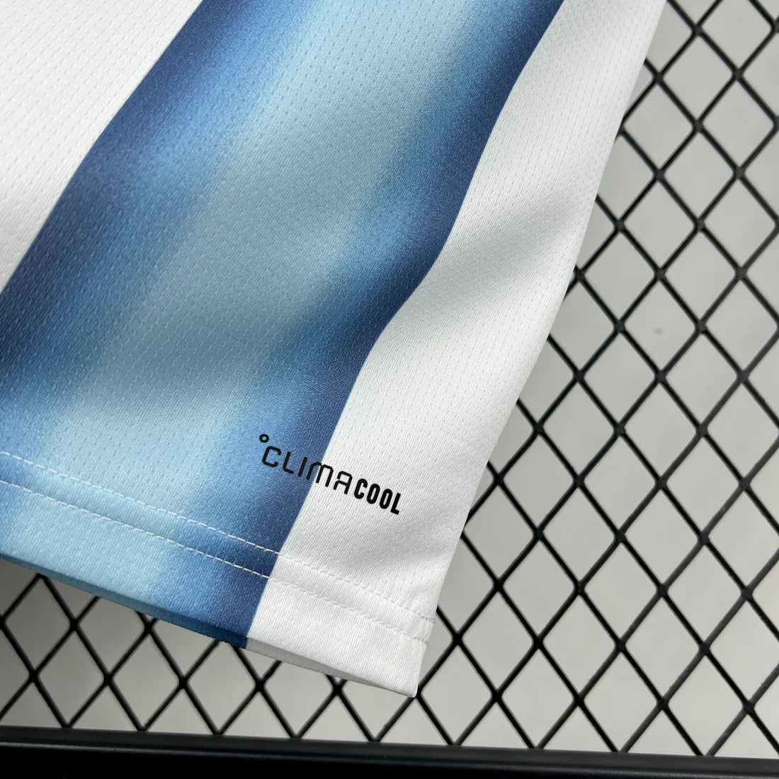 Camiseta Argentina 2025-26 World Cup