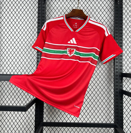 Camiseta Gales 2025-26 World Cup