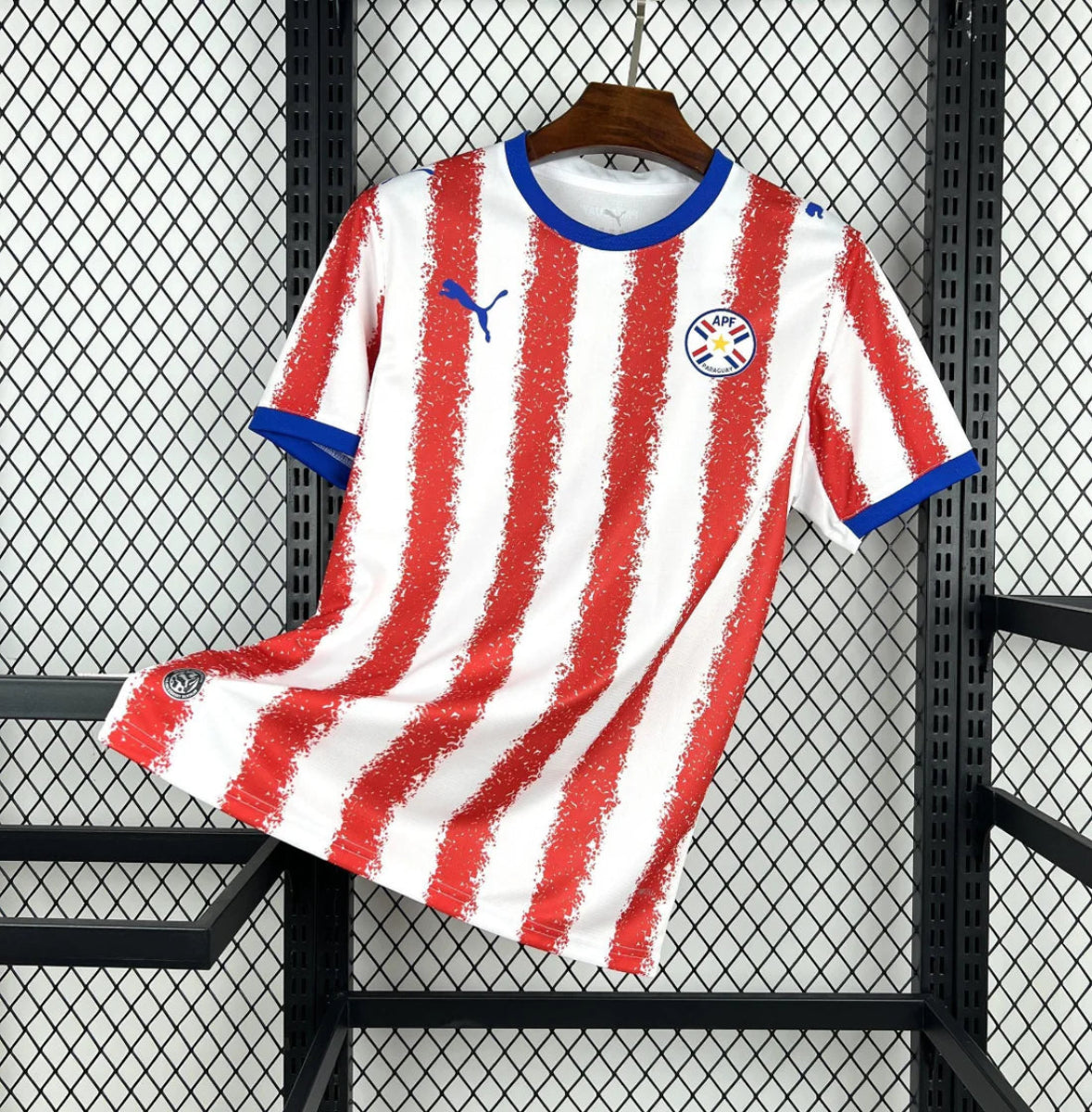 Camiseta Paraguay 2025-26 World Cup
