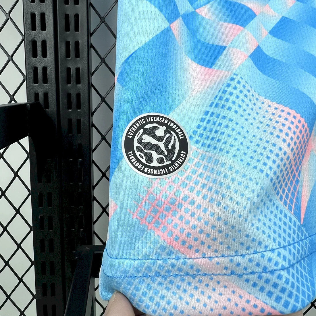 Camiseta Suiza 2025-26 World Cup
