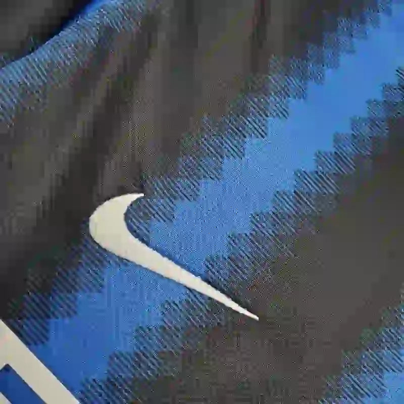 Camiseta Clásica Inter Milán Manga Larga 2010-11