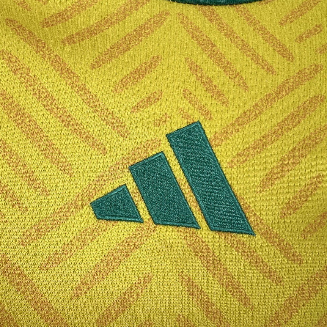 Camiseta Sudáfrica 2025-26 World Cup
