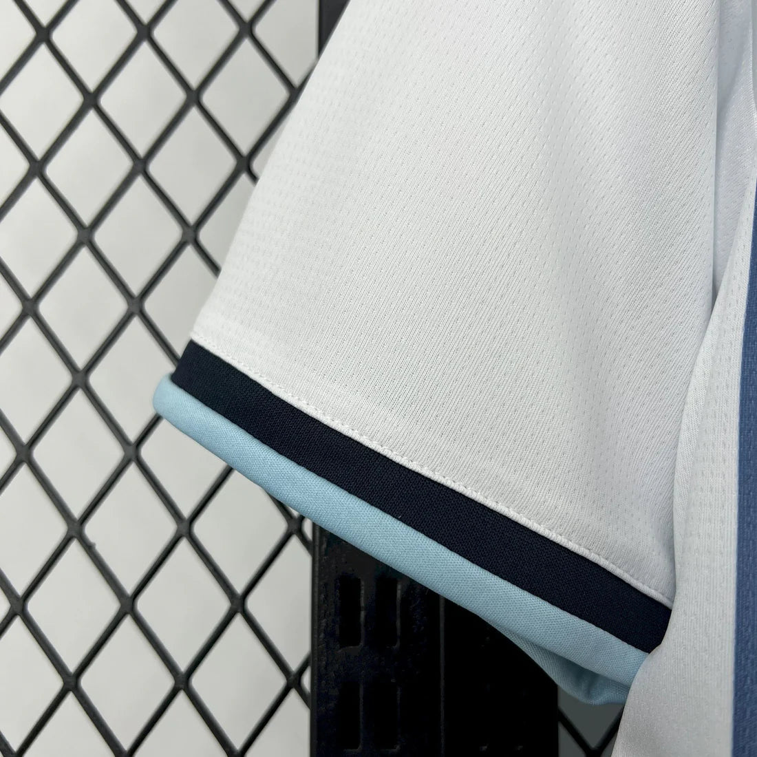 Camiseta Argentina 2025-26 World Cup