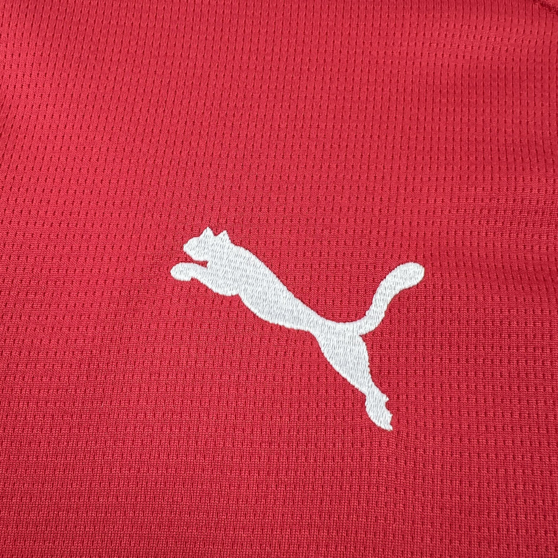 Camiseta Republica Checa 2025-26 World Cup